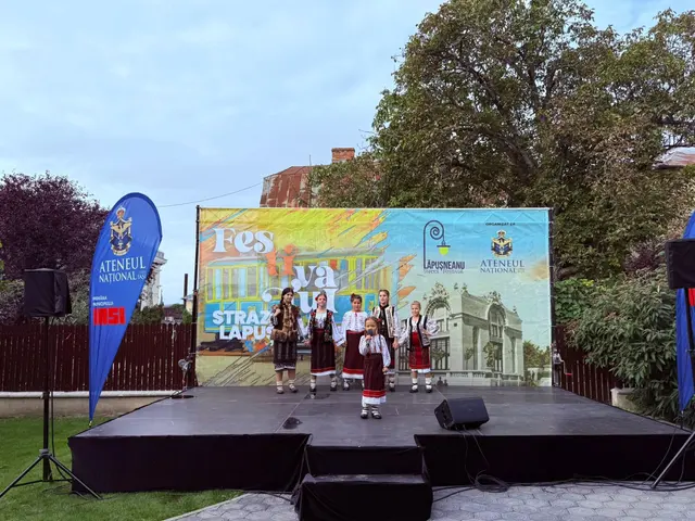 Festivalul Străzii Lăpușneanu — fotografia 3